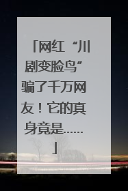 网红“川剧变脸鸟”骗了千万网友！它的真身竟是……