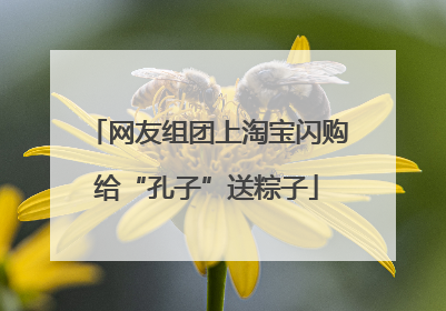 网友组团上淘宝闪购给“孔子”送粽子