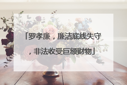 罗孝廉，廉洁底线失守，非法收受巨额财物