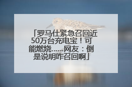 罗马仕紧急召回近50万台充电宝！可能燃烧……网友：倒是说明咋召回啊