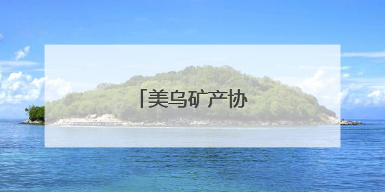美乌矿产协议正式启动