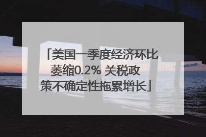 美国一季度经济环比萎缩0.2% 关税政策不确定性拖累增长