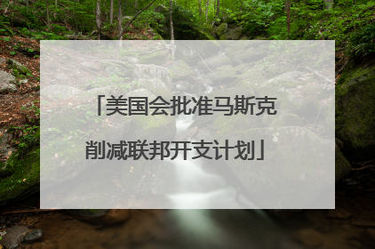 美国会批准马斯克削减联邦开支计划