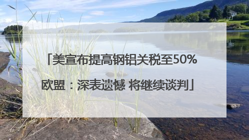 美宣布提高钢铝关税至50% 欧盟：深表遗憾 将继续谈判