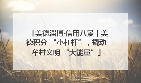 美德淄博·信用八景｜美德积分 “小杠杆”，撬动牟村文明 “大能量”
