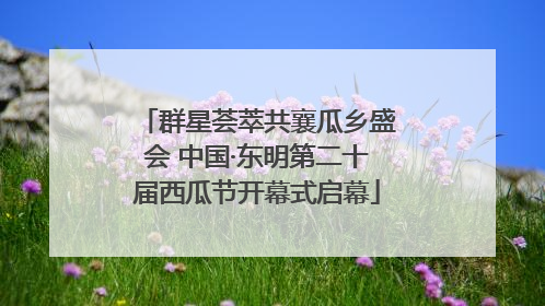 群星荟萃共襄瓜乡盛会 中国·东明第二十届西瓜节开幕式启幕