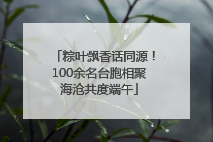 粽叶飘香话同源！100余名台胞相聚海沧共度端午
