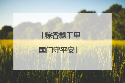 粽香飘千里 国门守平安
