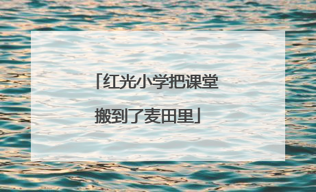 红光小学把课堂搬到了麦田里