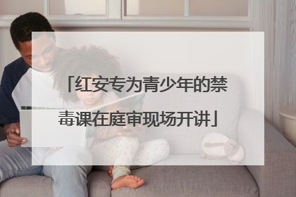 红安专为青少年的禁毒课在庭审现场开讲