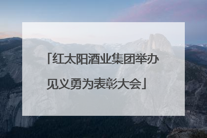 红太阳酒业集团举办见义勇为表彰大会