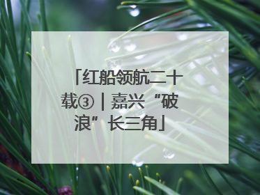 红船领航二十载③｜嘉兴“破浪”长三角