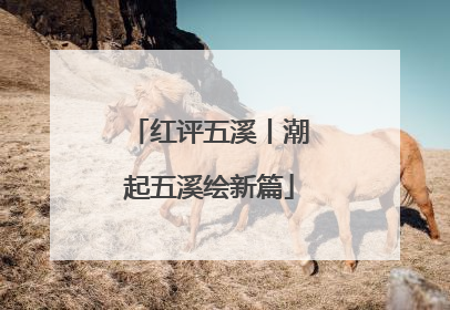 红评五溪丨潮起五溪绘新篇