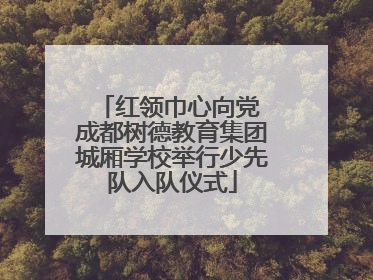 红领巾心向党 成都树德教育集团城厢学校举行少先队入队仪式