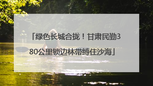绿色长城合拢！甘肃民勤380公里锁边林带缚住沙海