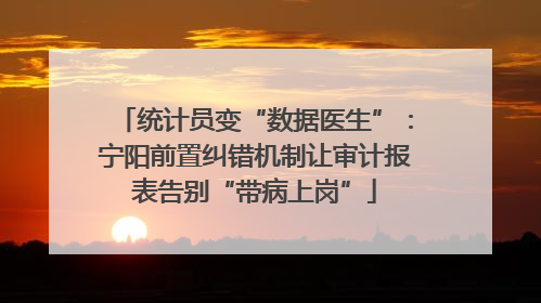 统计员变“数据医生”：宁阳前置纠错机制让审计报表告别“带病上岗”