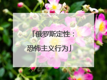 俄罗斯定性：恐怖主义行为