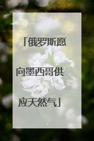 俄罗斯愿向墨西哥供应天然气