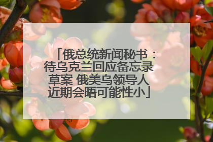 俄总统新闻秘书：待乌克兰回应备忘录草案 俄美乌领导人近期会晤可能性小