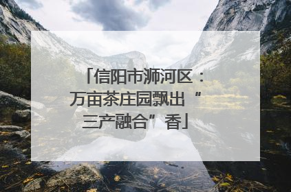 信阳市浉河区：万亩茶庄园飘出“三产融合”香