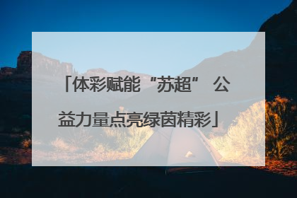 体彩赋能“苏超” 公益力量点亮绿茵精彩