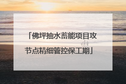 佛坪抽水蓄能项目攻节点精细管控保工期