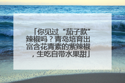 你见过“茄子款”辣椒吗？青岛培育出富含花青素的紫辣椒，生吃自带水果甜