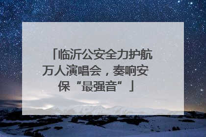 临沂公安全力护航万人演唱会，奏响安保“最强音”
