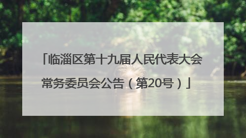 临淄区第十九届人民代表大会常务委员会公告（第20号）