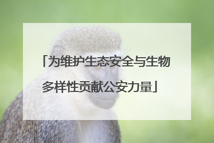 为维护生态安全与生物多样性贡献公安力量