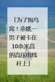 为了掏鸟窝！余姚一男子被卡在10余米高的高压电线杆上