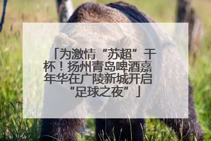 为激情“苏超”干杯！扬州青岛啤酒嘉年华在广陵新城开启“足球之夜”