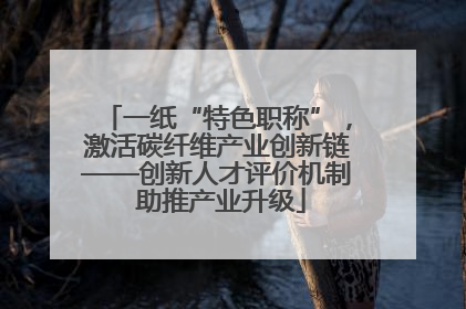 一纸“特色职称”，激活碳纤维产业创新链——创新人才评价机制 助推产业升级
