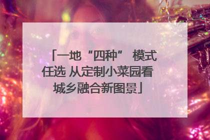 一地“四种” 模式任选 从定制小菜园看城乡融合新图景