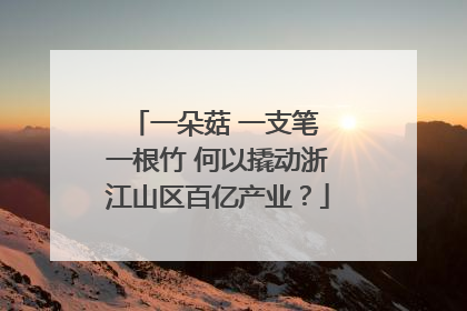 一朵菇 一支笔 一根竹 何以撬动浙江山区百亿产业？