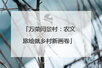 万荣闫景村：农文旅绘就乡村新画卷
