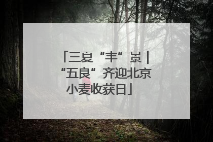 三夏“丰”景｜“五良”齐迎北京小麦收获日