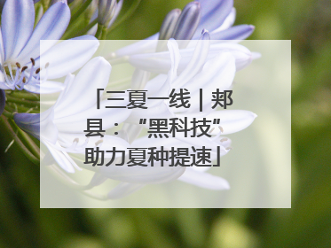 三夏一线｜郏县：“黑科技”助力夏种提速