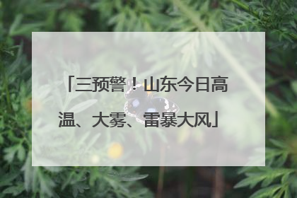 三预警！山东今日高温、大雾、雷暴大风
