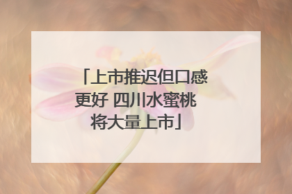 上市推迟但口感更好 四川水蜜桃将大量上市