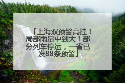 上海双预警高挂！局部雨量中到大！部分列车停运，一省已发88条预警