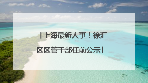 上海最新人事！徐汇区区管干部任前公示