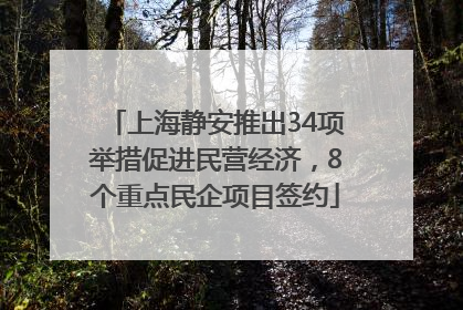 上海静安推出34项举措促进民营经济，8个重点民企项目签约