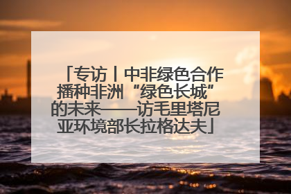 专访丨中非绿色合作播种非洲“绿色长城”的未来——访毛里塔尼亚环境部长拉格达夫