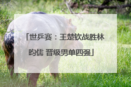 世乒赛：王楚钦战胜林昀儒 晋级男单四强
