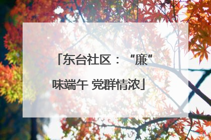东台社区：“廉”味端午 党群情浓