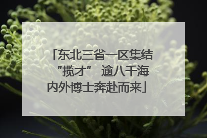 东北三省一区集结“揽才” 逾八千海内外博士奔赴而来