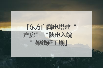 东方白鹳电塔建“产房” “陕电入皖”架线延工期
