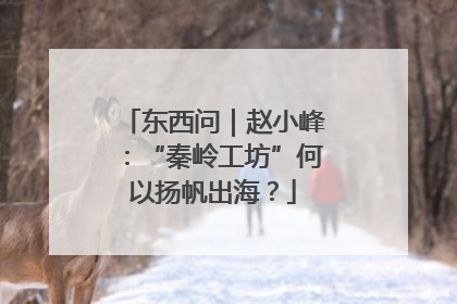 东西问｜赵小峰：“秦岭工坊”何以扬帆出海？