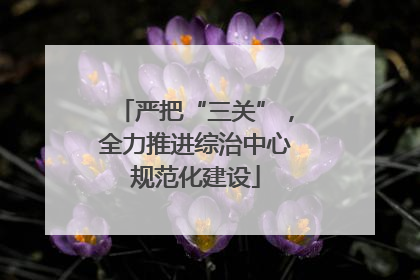 严把“三关”，全力推进综治中心规范化建设